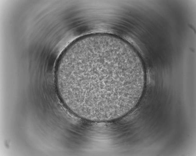 X0000102540828200808291840