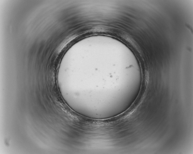 X0000102540829200808291840