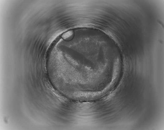 X0000102540830200808291840