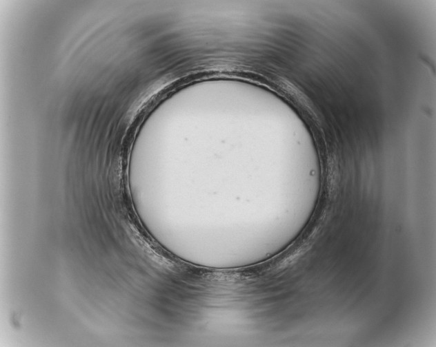 X0000102540831200808291840