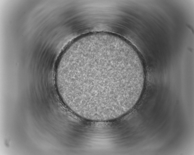 X0000102540832200808291840