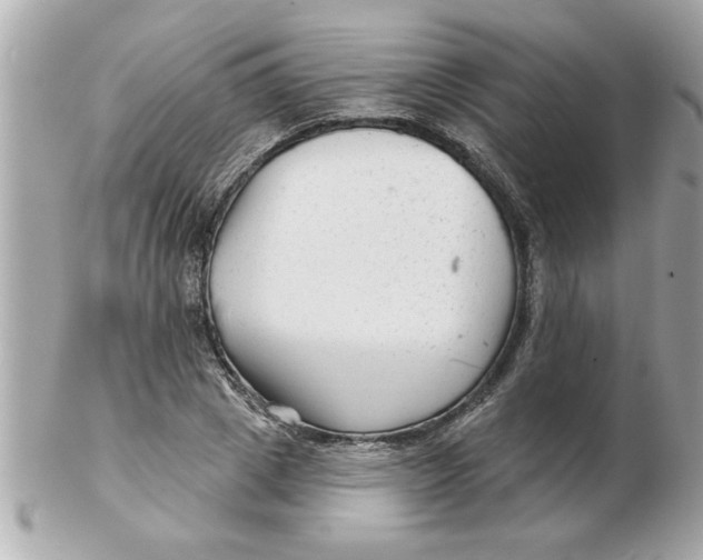 X0000102540833200808291840