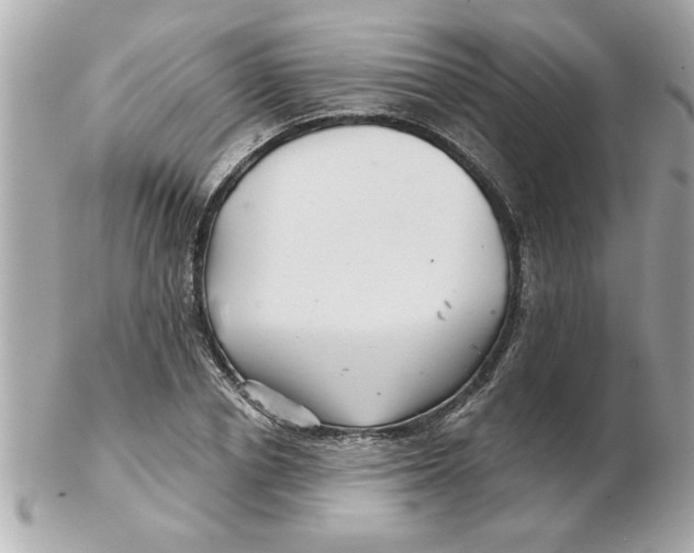 X0000102540834200808291840