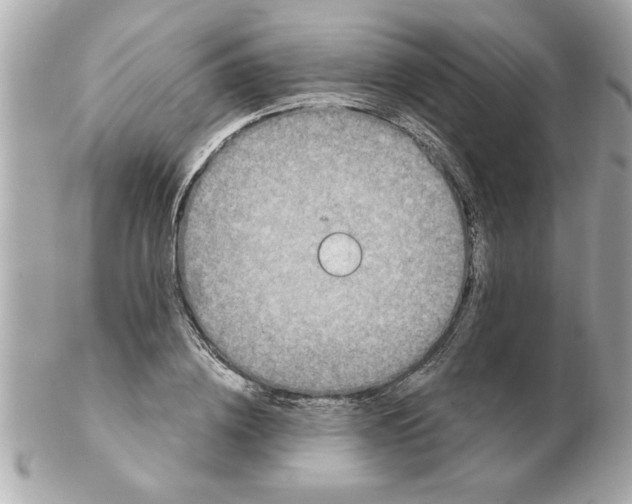 X0000102540836200808291840