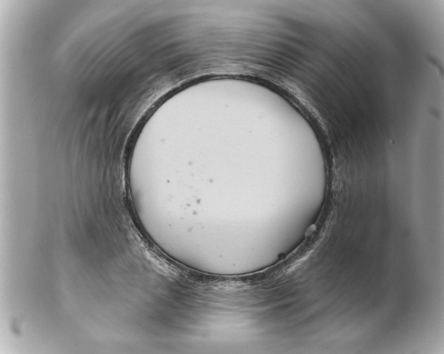 X0000102540837200808291840