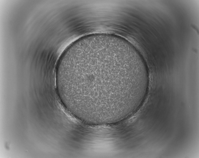 X0000102540838200808291840