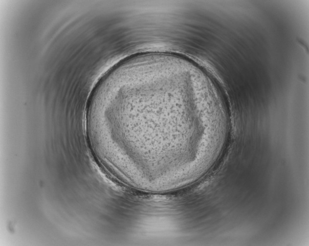 X0000102540839200808291840