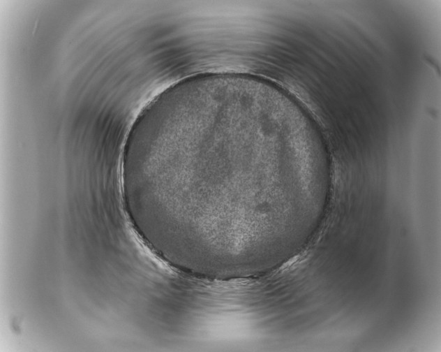 X0000102540840200808291840