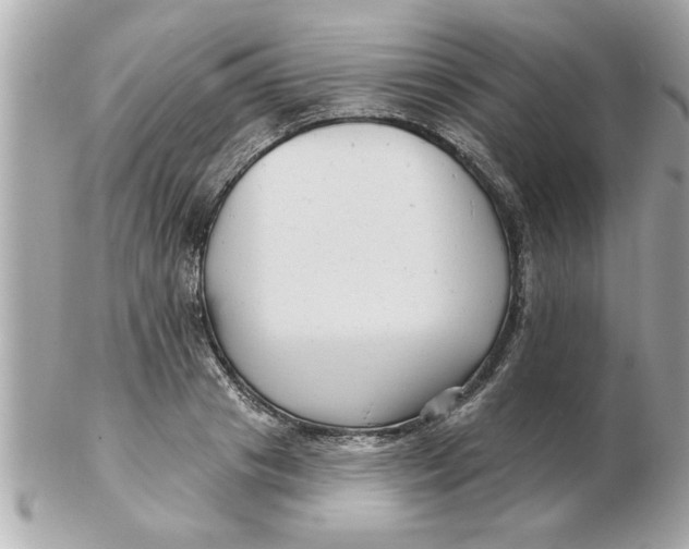 X0000102540841200808291840