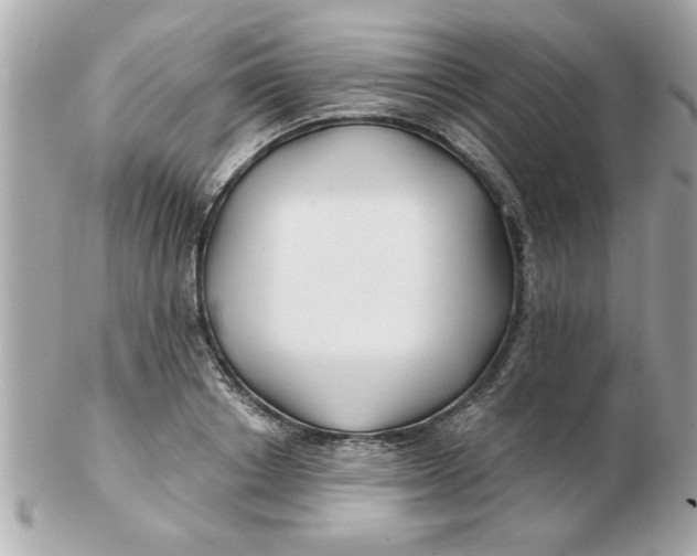 X0000102540842200808291840