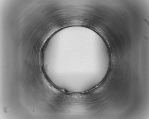 X0000102540843200808291840