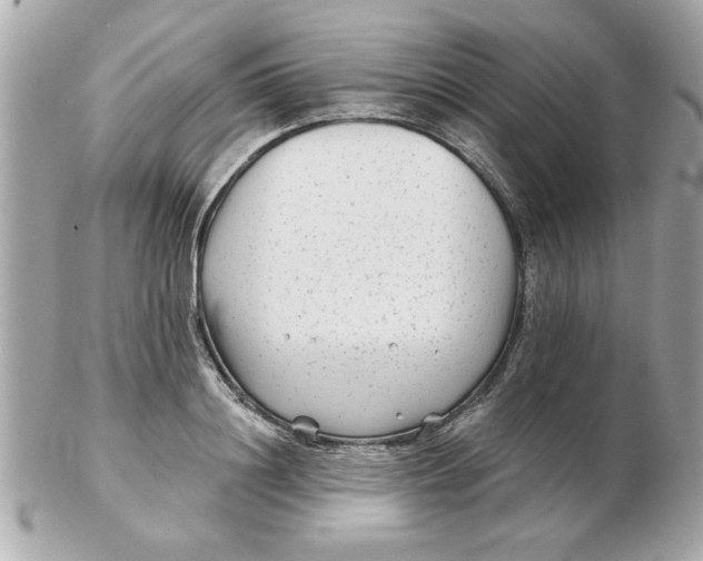 X0000102540844200808291840