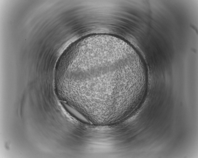 X0000102540845200808291840