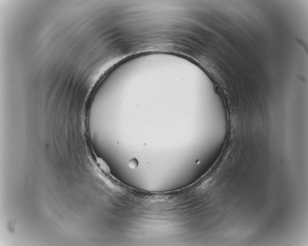 X0000102540846200808291840