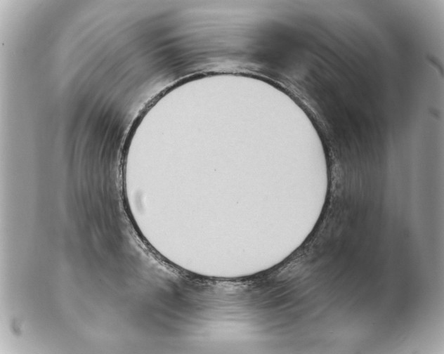 X0000102540848200808291840