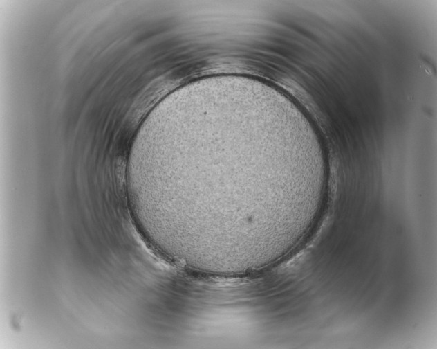 X0000102540849200808291840