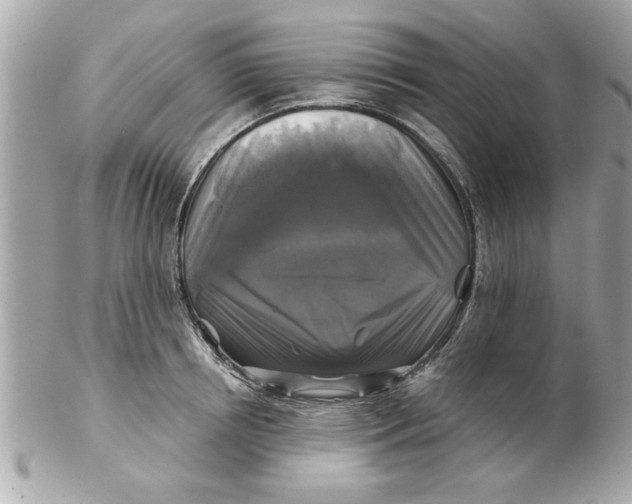 X0000102540850200808291840