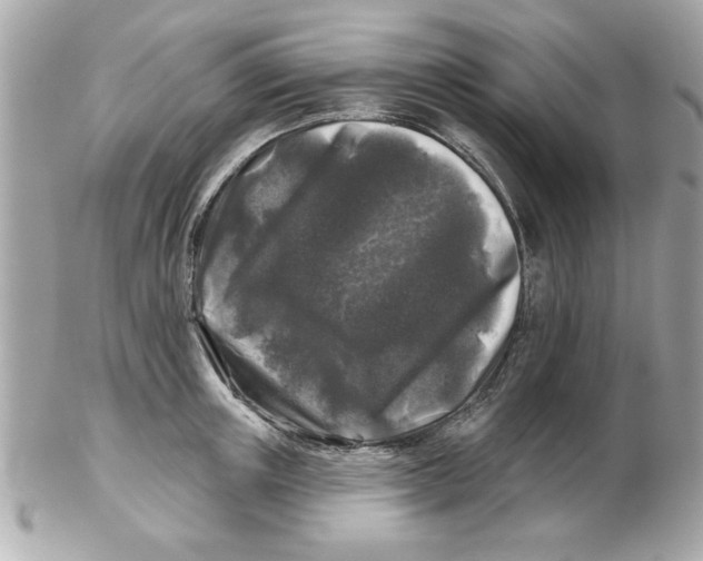 X0000102540851200808291840