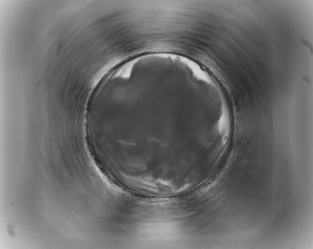 X0000102540853200808291840