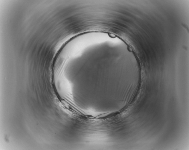 X0000102540854200808291840