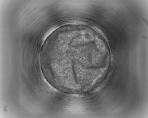 X0000102540855200808291840