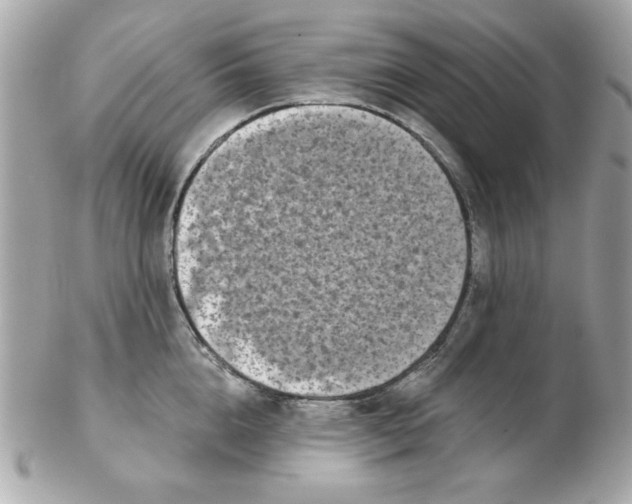 X0000102540856200808291840