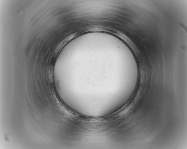 X0000102540857200808291840