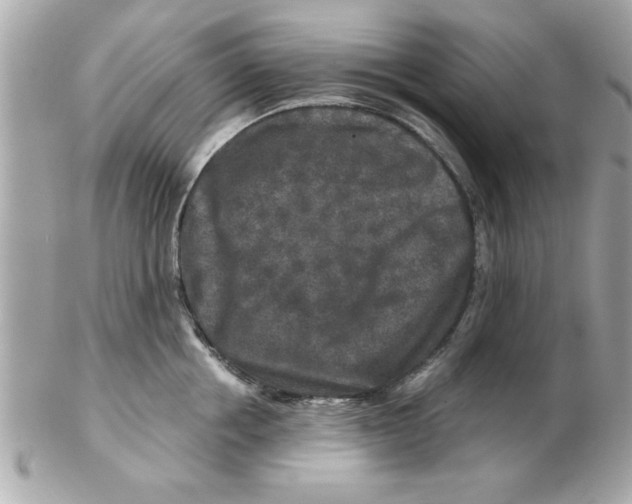 X0000102540858200808291840