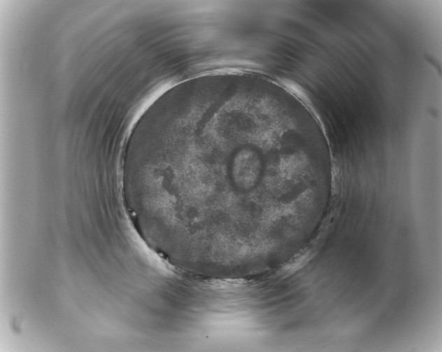 X0000102540859200808291840