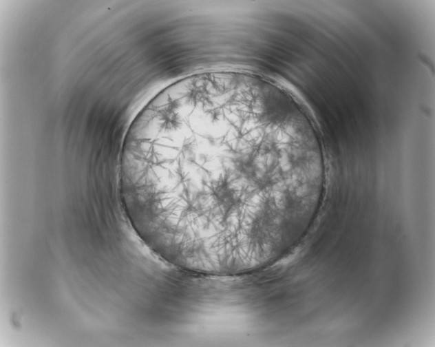 X0000102540860200808291840