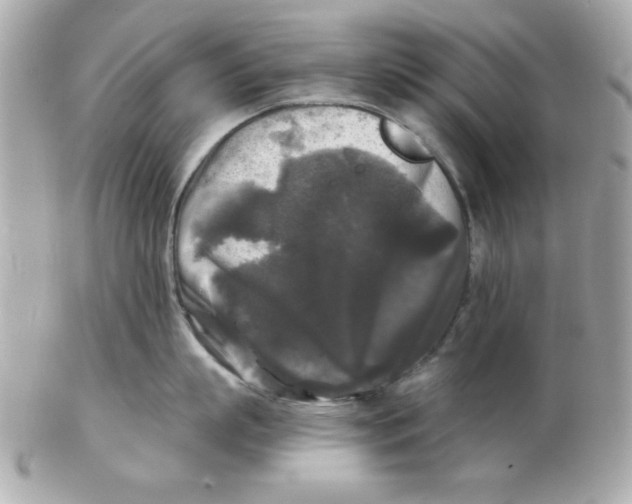 X0000102540863200808291840