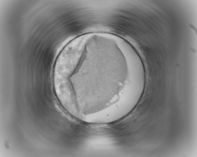 X0000102540864200808291840