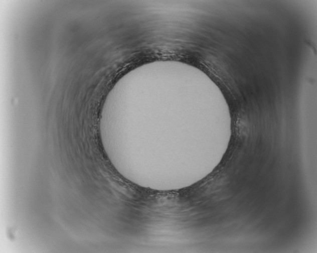 X0000102540865200808291840