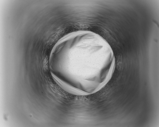 X0000102540866200808291840