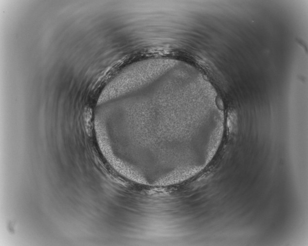 X0000102540867200808291840