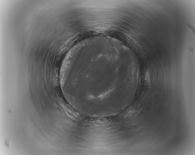 X0000102540868200808291840