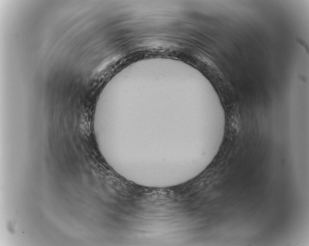 X0000102540869200808291840