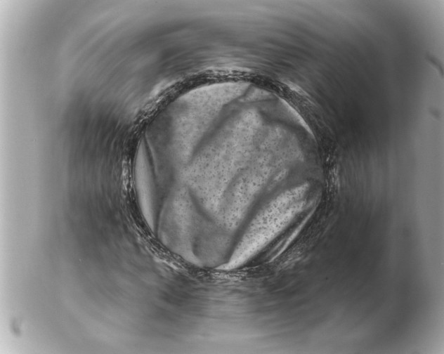 X0000102540870200808291840