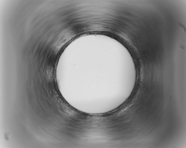 X0000102540873200808291840