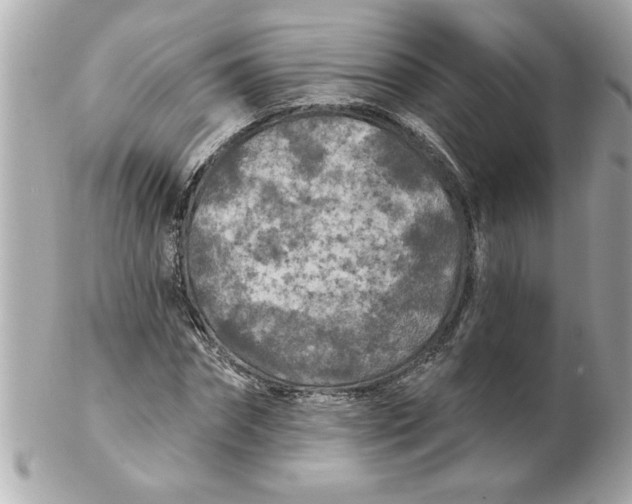 X0000102540874200808291840