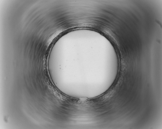 X0000102540875200808291840