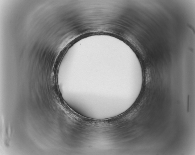 X0000102540876200808291840