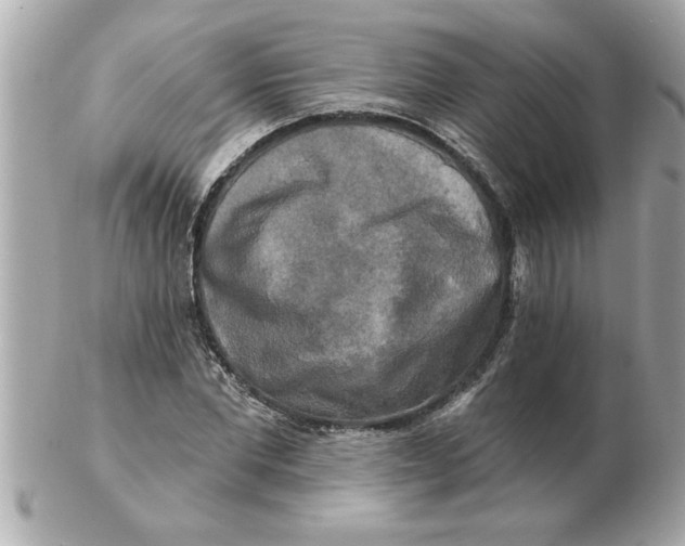 X0000102540877200808291840