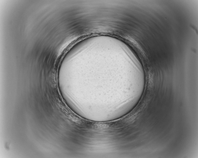 X0000102540878200808291840