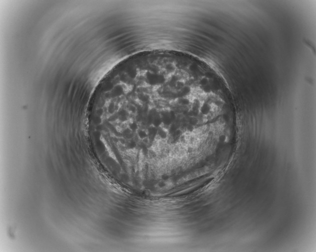 X0000102540879200808291840