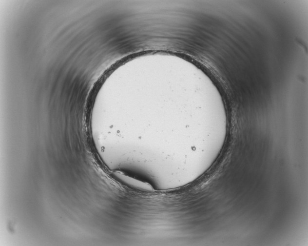 X0000102540880200808291840