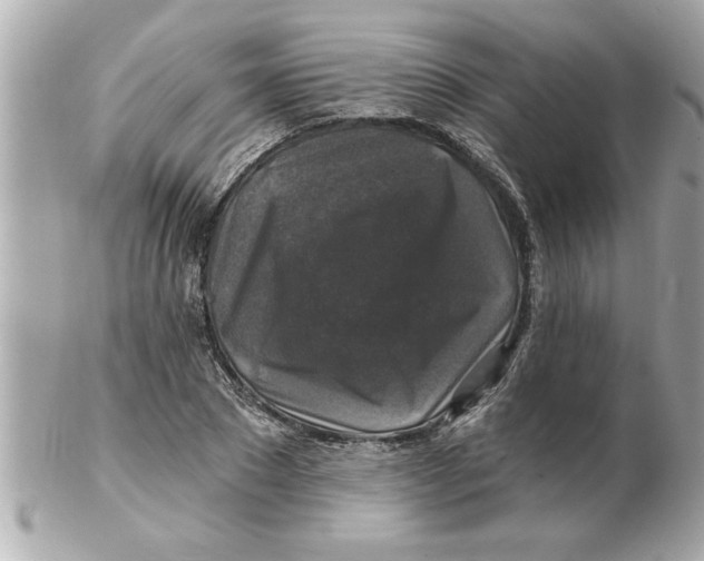 X0000102540881200808291840