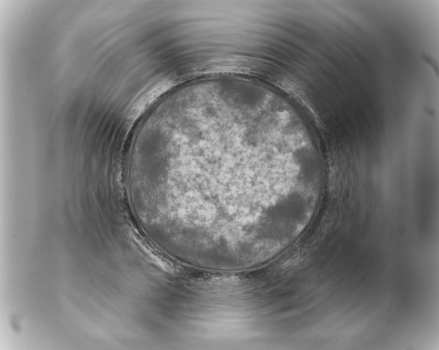 X0000102540882200808291839