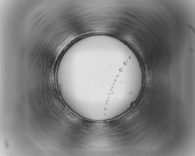 X0000102540883200808291839