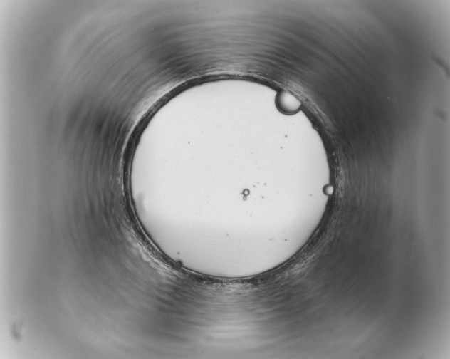 X0000102540884200808291839